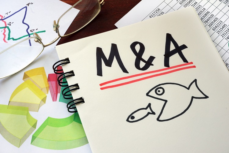 merger and acquisition